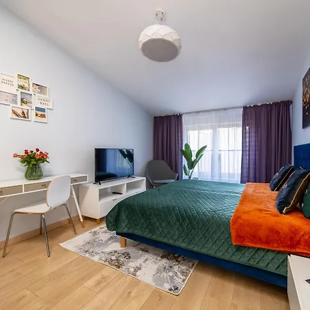 Happy Halicka * Cracovie