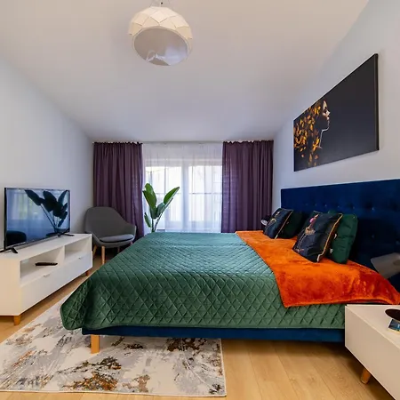 Happy Halicka Cracovie